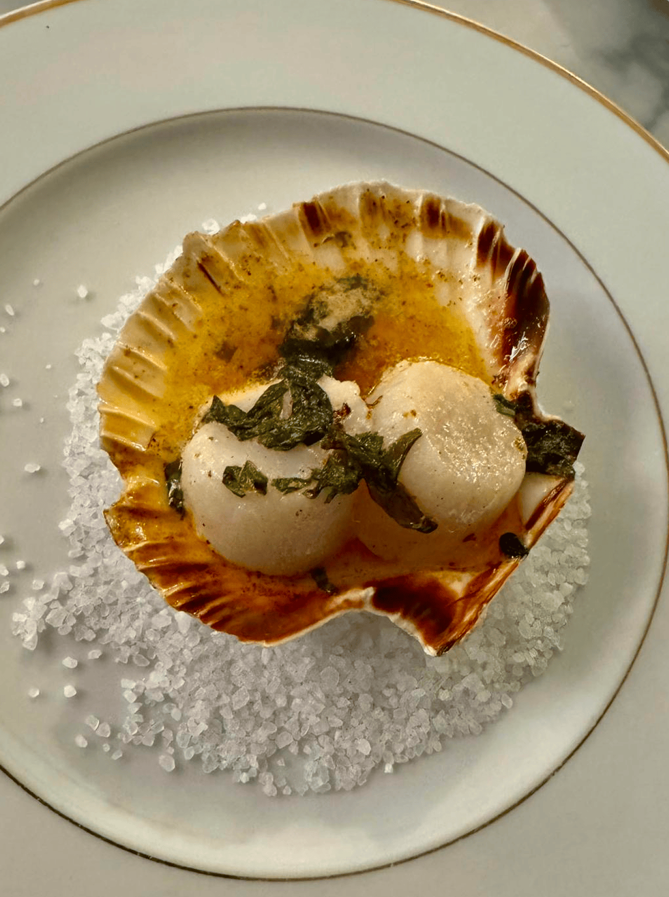 assiette de coquilles st jacques pour le réveillon chez monsieur bassano